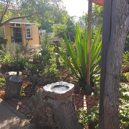Appartement Tranquility In Klein Karoo à Oudtshoorn Extérieur photo